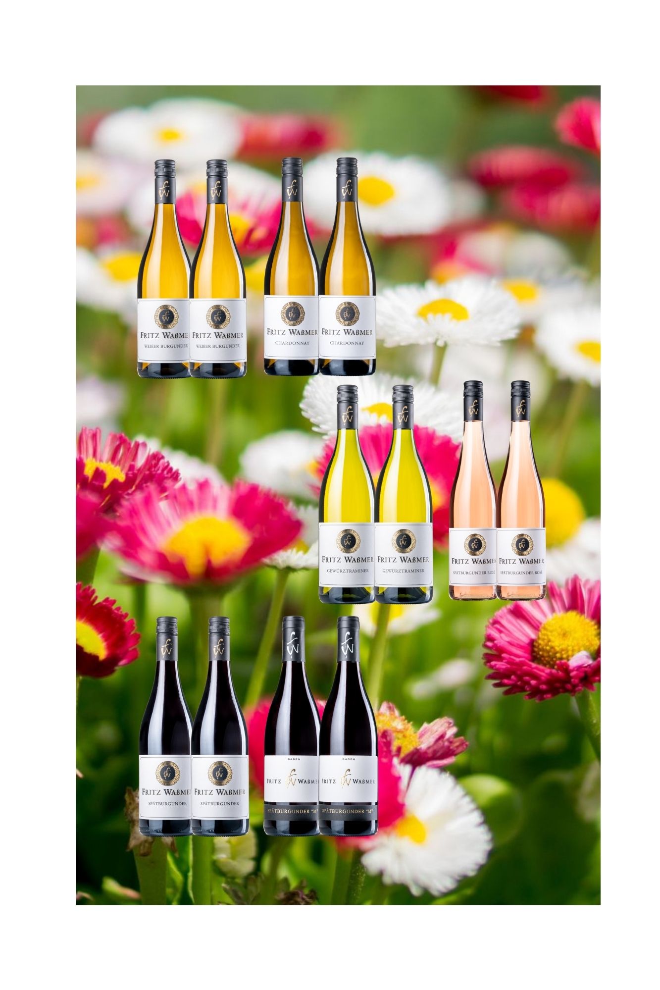 Frühlingserwachen_hoch