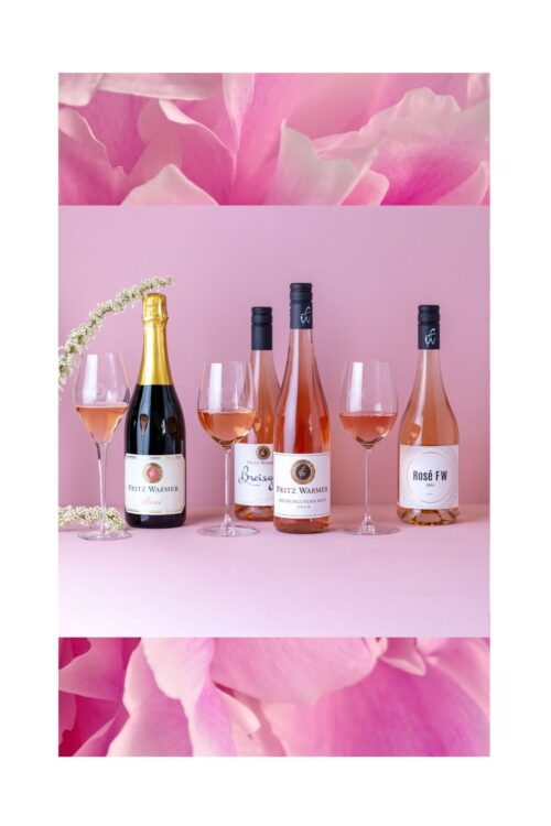 DRINK PINK 12er